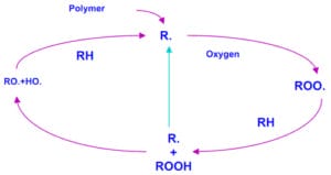Thermo-oxidative Degradation