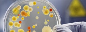 antimicrobial additive masterbatch