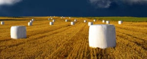 Masterbatch for Agricultural Applications