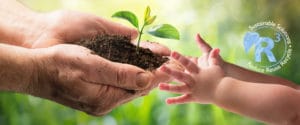 Masterbatches designed for compostable plastic applications