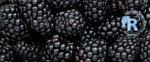 REC-NIR Black™ masterbatch is near infrared (NIR) transparent